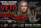 The Veto That Kept Cannabis in the Shadows: Assessing Governor Spanberger's Reversal