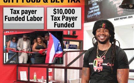 City Leaders DEI Program FUNDED FRAUD and costs Tax Payers THOUSANDS (ARREST MADE)